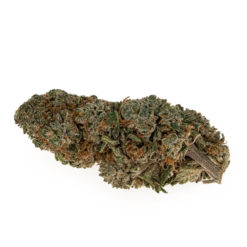 CBG-gras-white-widow_bud2_web