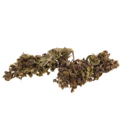 cbd-gras-black-domina-bud_web