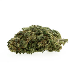 gras-cbd-premium-pinapple-chunk-eu_1_web