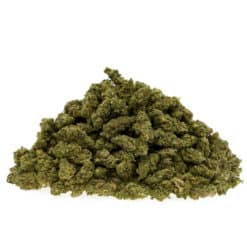 gras-CBD-premium-skywalkter-OG_#2-gr-haufen_web