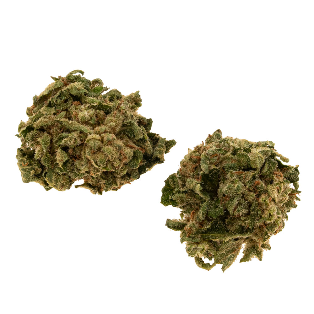 cbd-gras-sour-lemon-EU-bud_web cbd-gras-sour-lemon-EU-bud_web